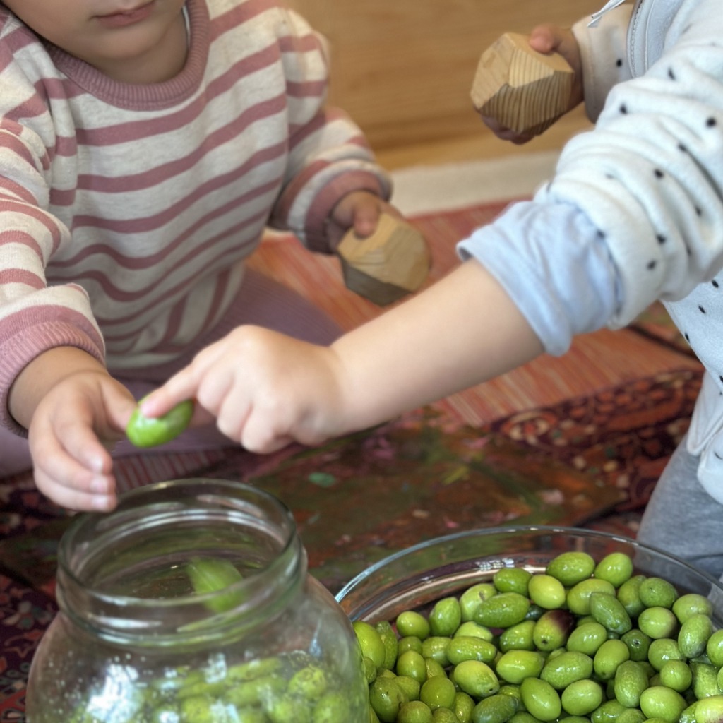 oyun grubunda zeytin kıran çocuklar